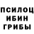 Галлюциногенные грибы GOLDEN TEACHER Sergiy Pogribnyy