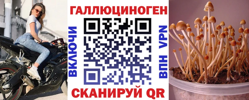 Галлюциногенные грибы Cubensis  Дмитровск 