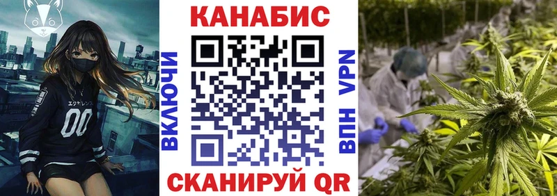 где купить наркоту  Дмитровск  МАРИХУАНА ГИДРОПОН 